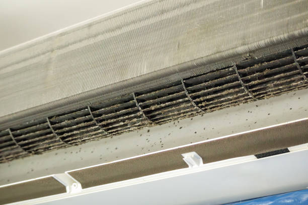 Best Ventilation Cleaning Services  in Mineral Springs, AR